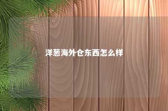 洋葱海外仓东西怎么样 洋葱海外仓怎么加盟,店主怎么做